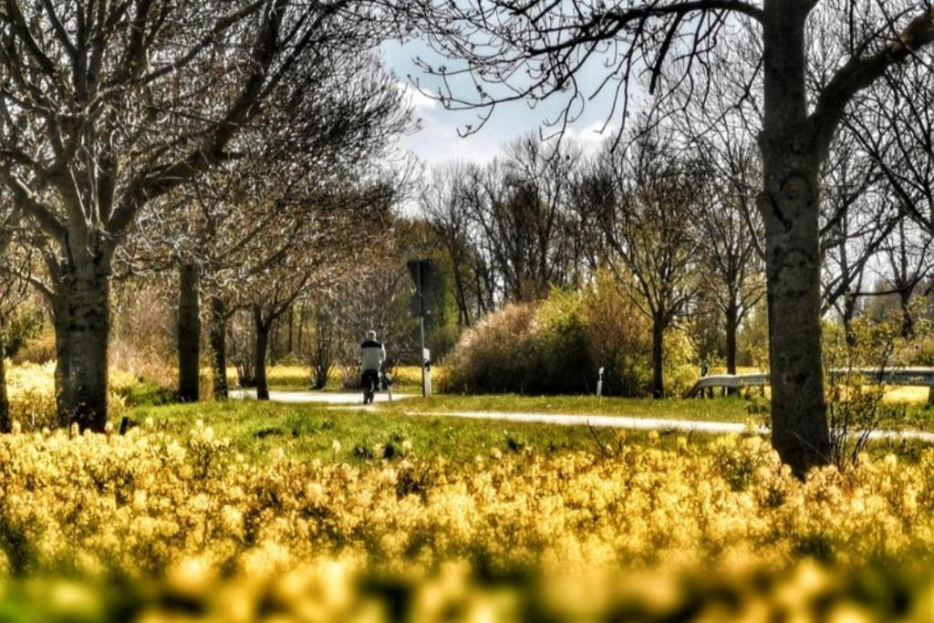 Apartmentvermittlung Mehr Als Meer - Objekt 11 Timmendorfer Strand Extérieur photo